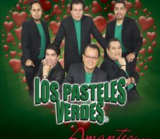 Los Pasteles Verdes Contrataciones Christian Manzanelli Representante Artìstico1