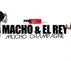 Macho Y El Rey Contrataciones Christian Manzanelli Representante Artìstico3