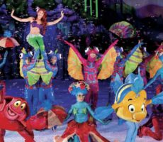 Disney On Ice Contrataciones Christian Manzanelli Representante Artístico (5)
