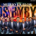 Contratar A Los Bybys (011-4740-4843) O Al (011-2055-4218) Contrataciones Christian Manzanelli