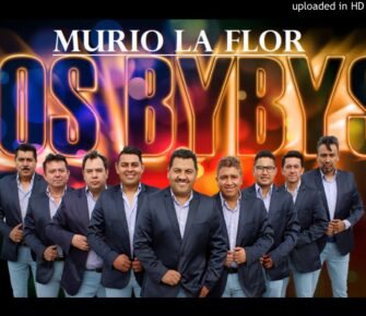 Contratar A Los Bybys (011-4740-4843) O Al (011-2055-4218) Contrataciones Christian Manzanelli