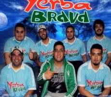 Yerba Brava Contrataciones Christian Manzanelli Representante Artistico (6)