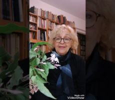 Cristina Fridman Contrataciones Christian Manzanelli Representante Artistico (6)