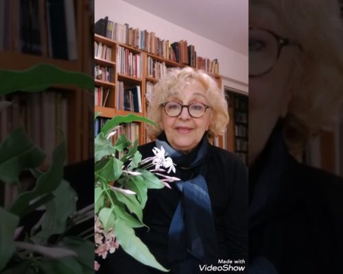 cristina fridman contrataciones christian manzanelli representante artistico (6)