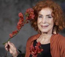 Mirta Busnelli Contrataciones Christian Manzanelli Representante Artistico (5)