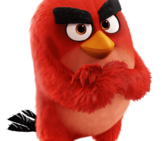 Angry Birds Contrataciones Christian Manzanelli Representante Artistico (3)