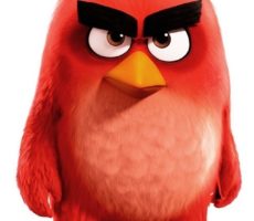 Angry Birds Contrataciones Christian Manzanelli Representante Artistico (6)