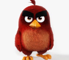 Angry Birds Contrataciones Christian Manzanelli Representante Artistico (8)