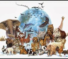Fabula La Asamblea De Los Animales Contrataciones Christian Manzanelli Representante Artístico (3)