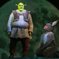 Contratar Shrek, El Musical (011-4740-4843) O Al (011-2055-4218) Contrataciones Christian Manzanelli