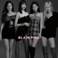 Contratar BlackPink (011-4740-4843) O Al (011-2055-4218) Contrataciones Christian Manzanelli