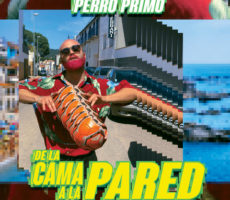 Perro Primo Contrataciones Christian Manzanelli Representante Artístico (1)