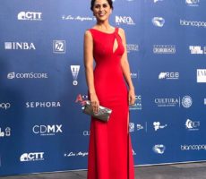 Pilar Santacruz Contrataciones Christian Manzanelli Representante Artístico (11)